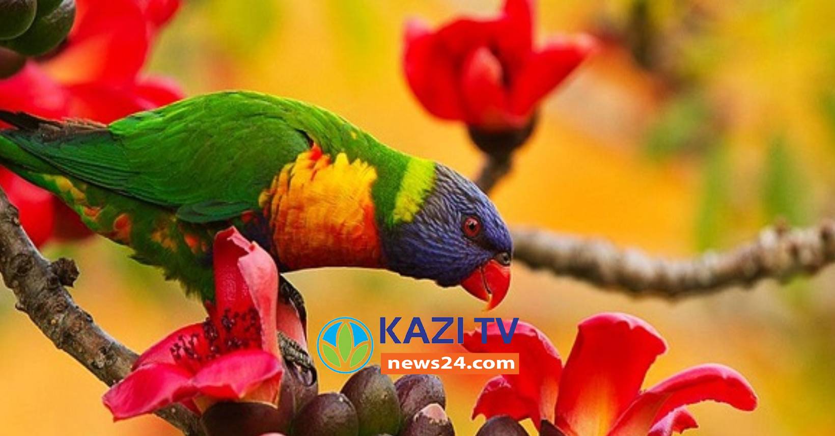 আজ ফাল্গুন হাওয়ায় ভালোবাসার দিন