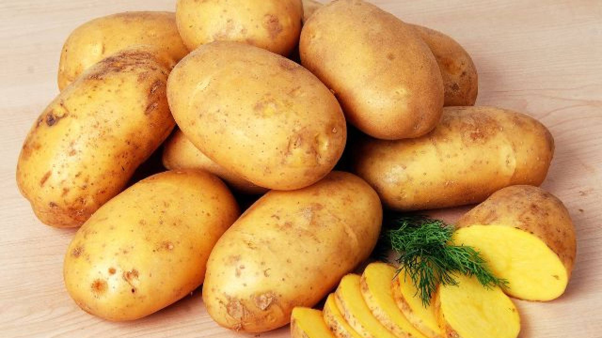 আন্তর্জাতিক আলু দিবস আজ