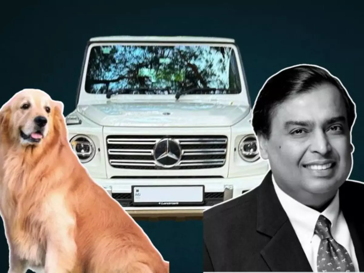 আম্বানিদের কুকুরের বিলাসবহুল জীবন: