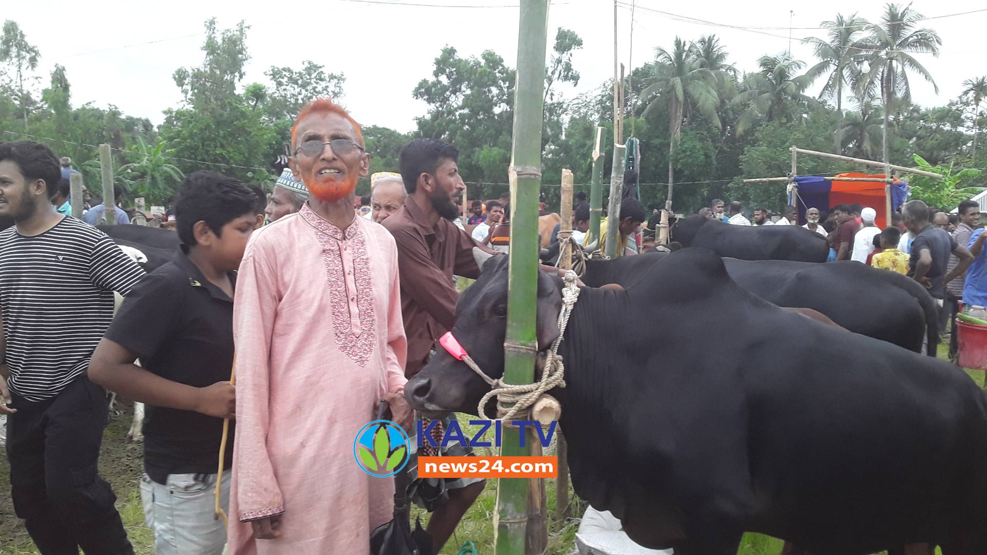 ঈদ-উল - আজহা উপলক্ষে চৌদ্দগ্রামে মিয়াবাজারে বিশাল গরু ছাগলের বাজার অনুষ্ঠিত।
