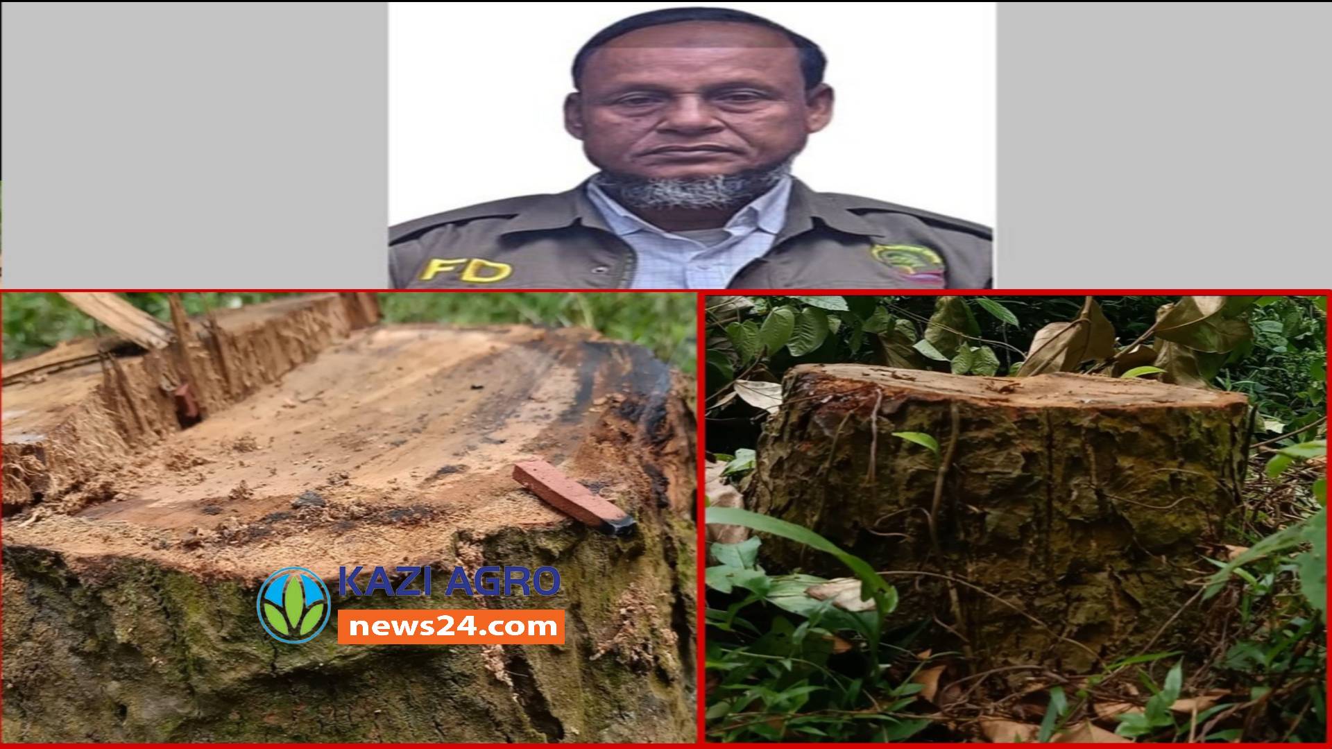 উজার হচ্ছে টাঙ্গাইলের ফুসফুস খ্যাত মধুপুরের শাল গজারির বন