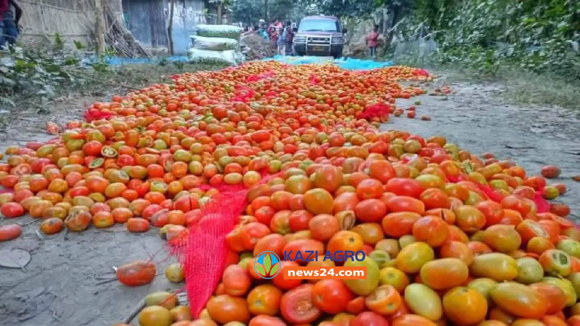 কাঁচা টমেটোতে রাসায়নিক পদার্থ মেশানোর অভিযোগে আদালতে জরিমানা
