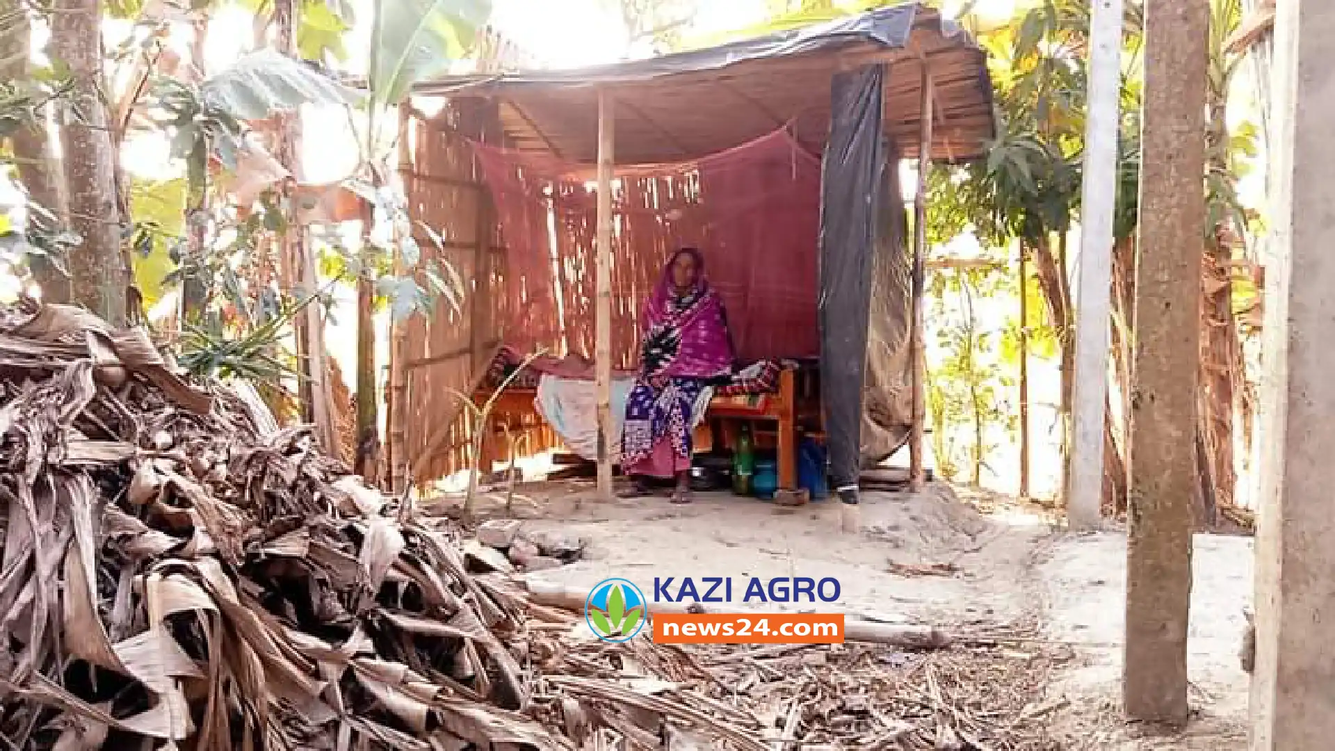 কুষ্টিয়ায় পলিথিনের ঘরে বৃদ্ধা মা ও প্রতিবন্ধী ছেলের মানবেতর জীবন