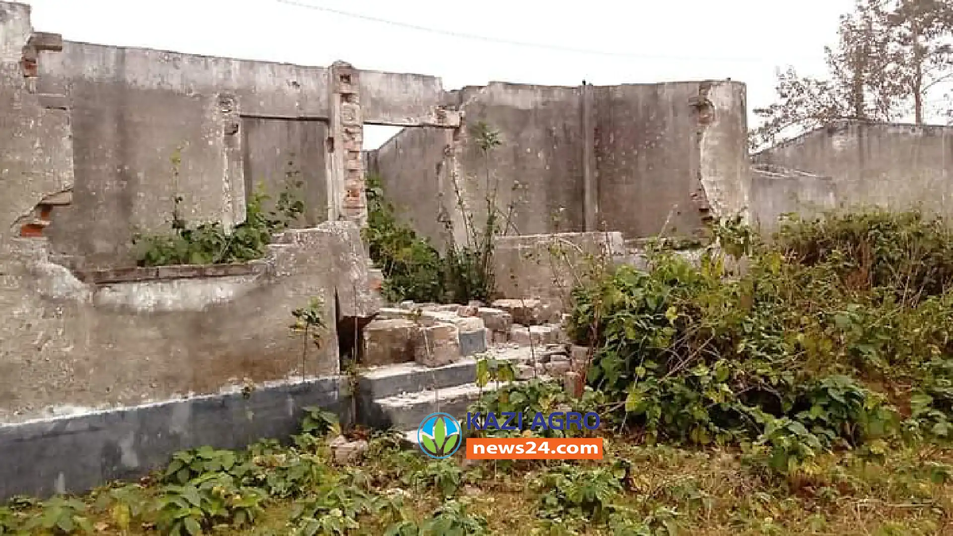 কুষ্টিয়ায় আশ্রয়ণ প্রকল্পের বেহাল দশা ‘স্বপ্নের ঠিকানা’য় কষ্টের শেষ নেই ভূমিহীনদের