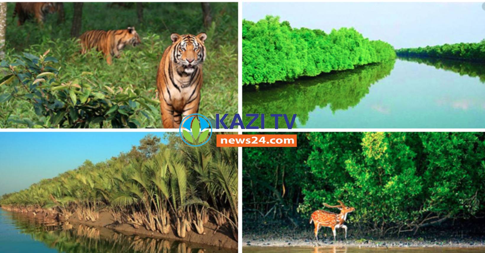 খুলনায় বিশ্ব ঐতিহ্য সুন্দরবন দিবস উপলক্ষে আলোচনা সভা অনুষ্ঠিত
