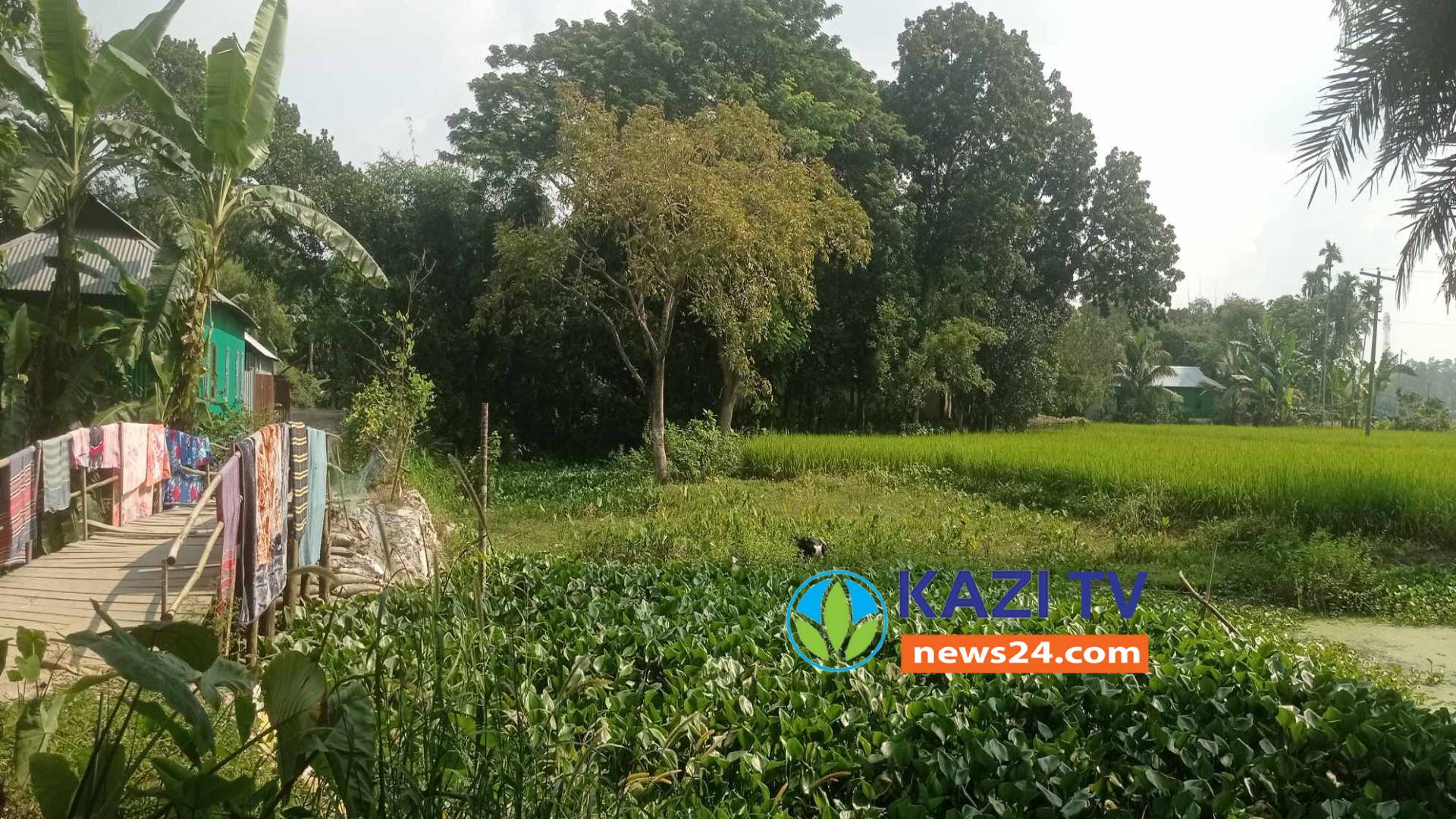গোপালপুরে বিলুপ্তপ্রায় গোয়ালবাড়ি খাল হুমকির মুখে কৃষিজমি