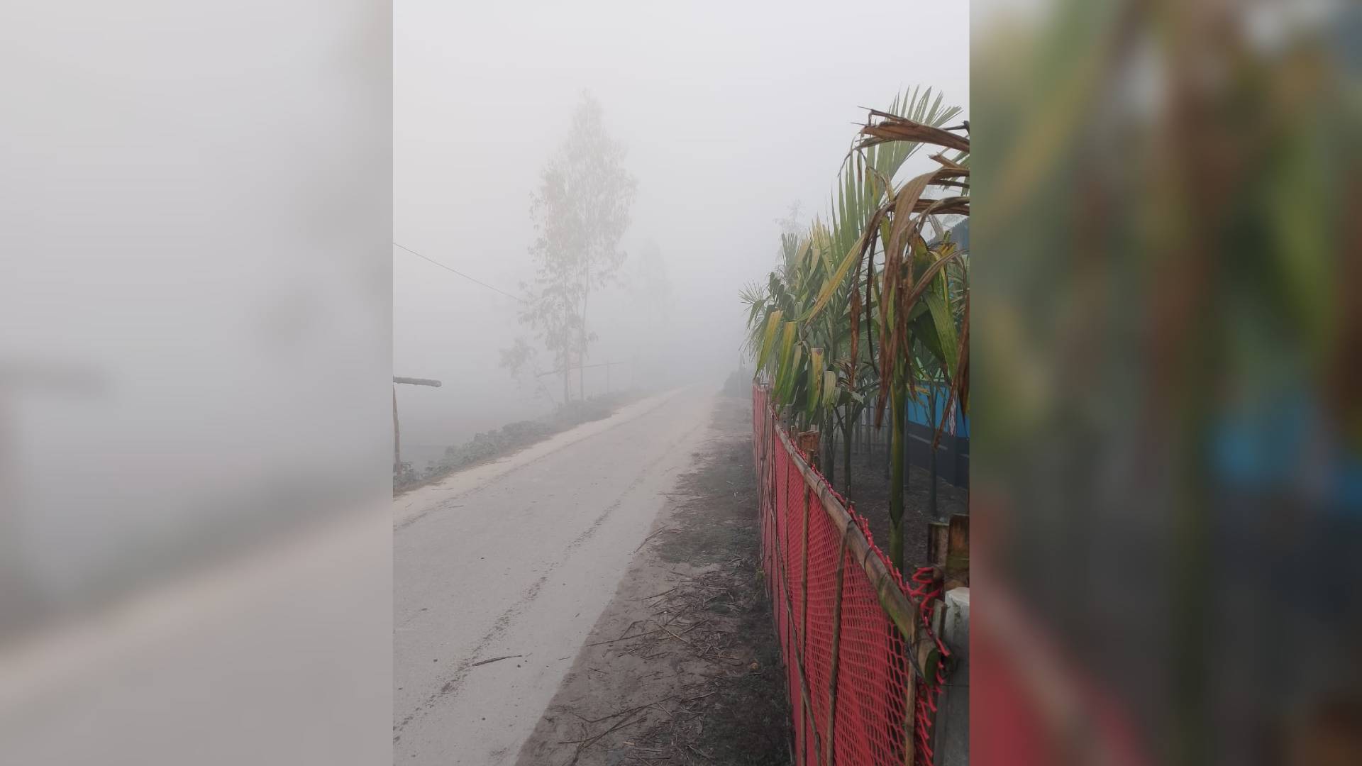 ঘন কুয়াশার চাদরে ঢাকা চারপাশ তেঁতুলিয়ায় সর্বনিম্ন তাপমাত্রা