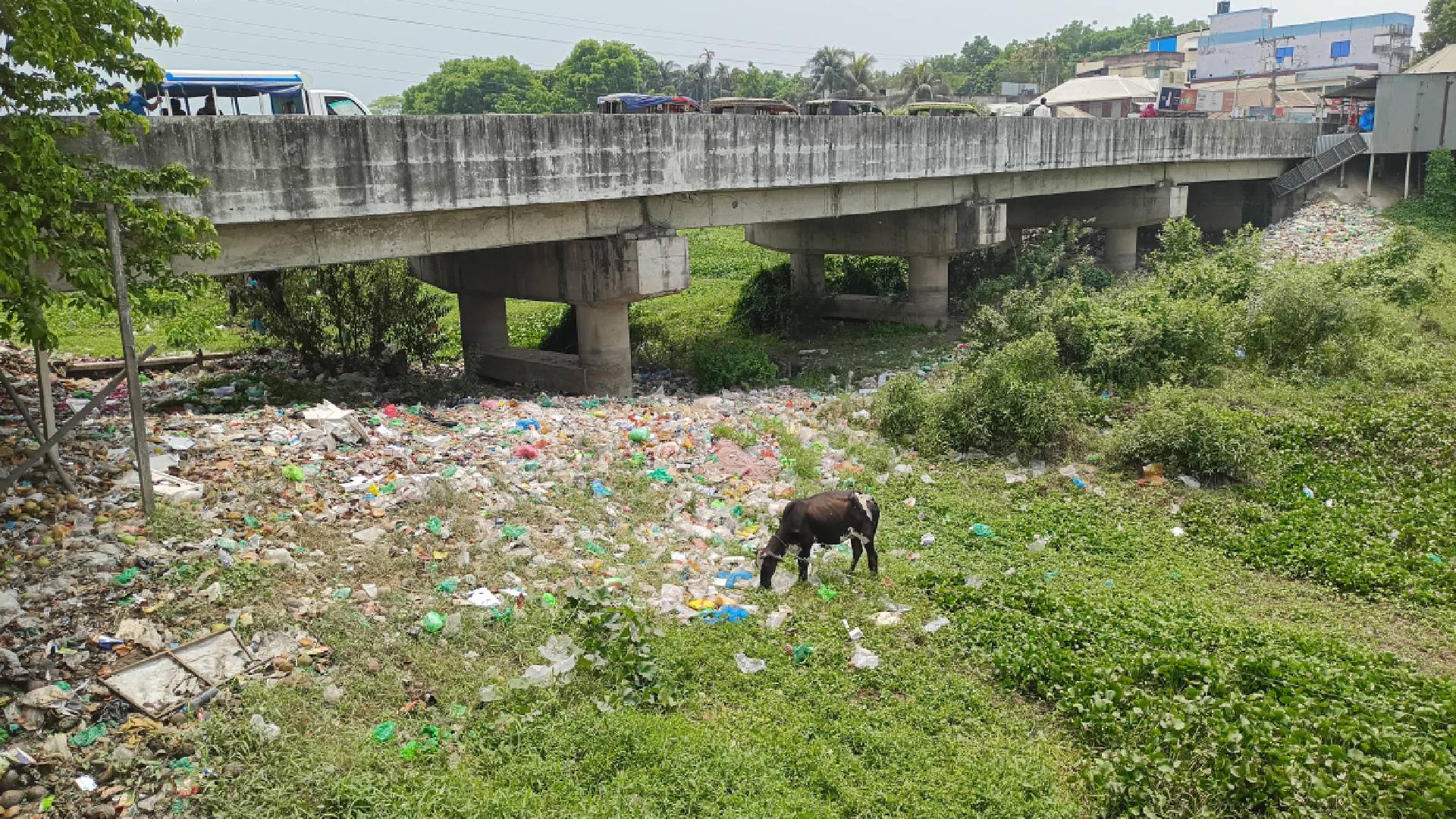 চরভদ্রাসন উপজেলায় দখল আর দুষনের শিকার হয়ে ২৪টি খালের অস্তিত্ব হারিয়ে গেছে
