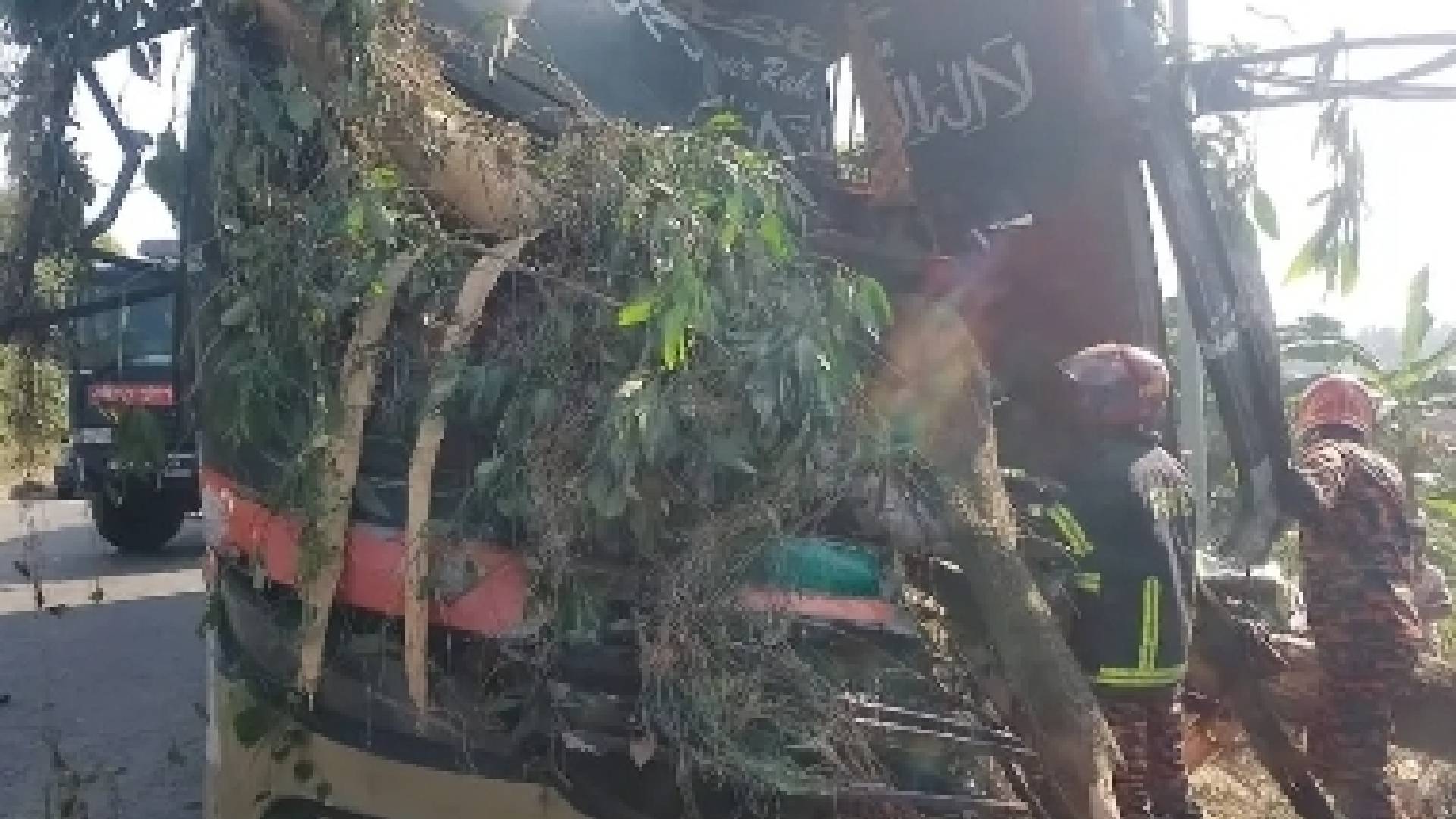 চৌদ্দগ্রামে গাছের সাথে বাসের ধাক্কায় নিহত ৩ আহত ৭