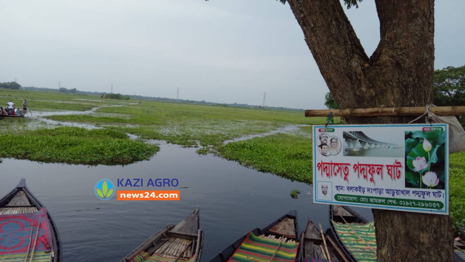 জলজ রানীর পদ্ম কে ঘিরে আছে বলাকাইড়ের পদ্ম বিল