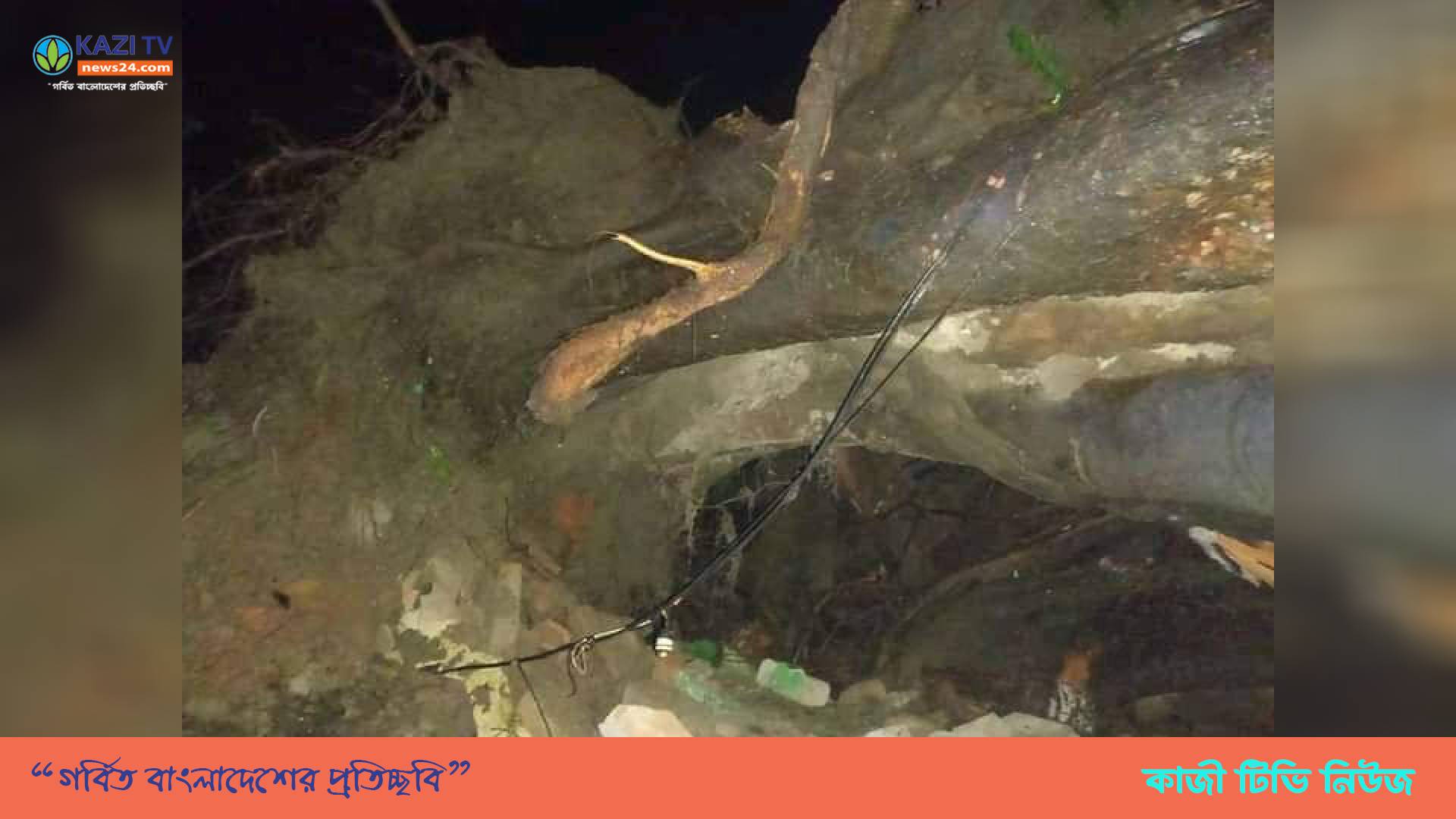 ঝড়ে ভেঙে পড়লো লালমনিরহাটের ঐতিহ্যবাহী হালাবট গাছ ।