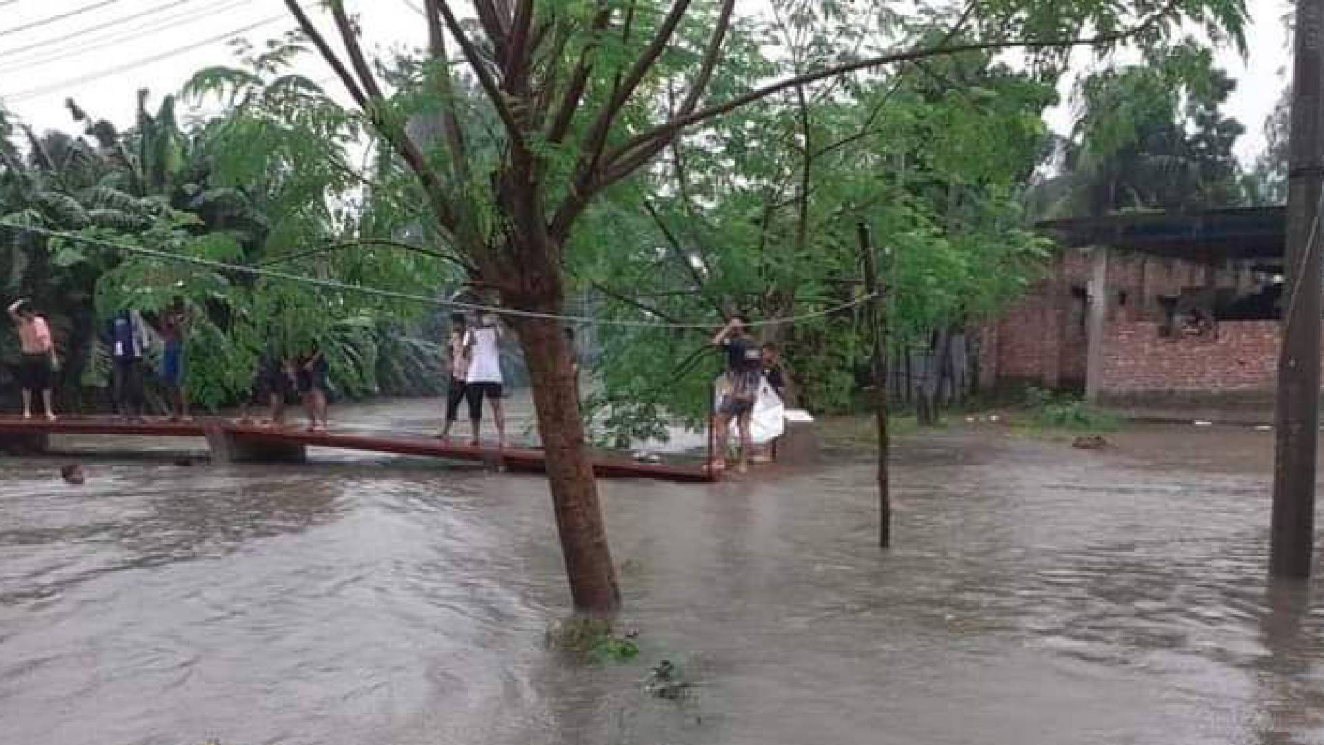টানা বৃস্টিতে নীলফামারীর বিভিন্ন এলাকা প্লাবিত হয়েছে।