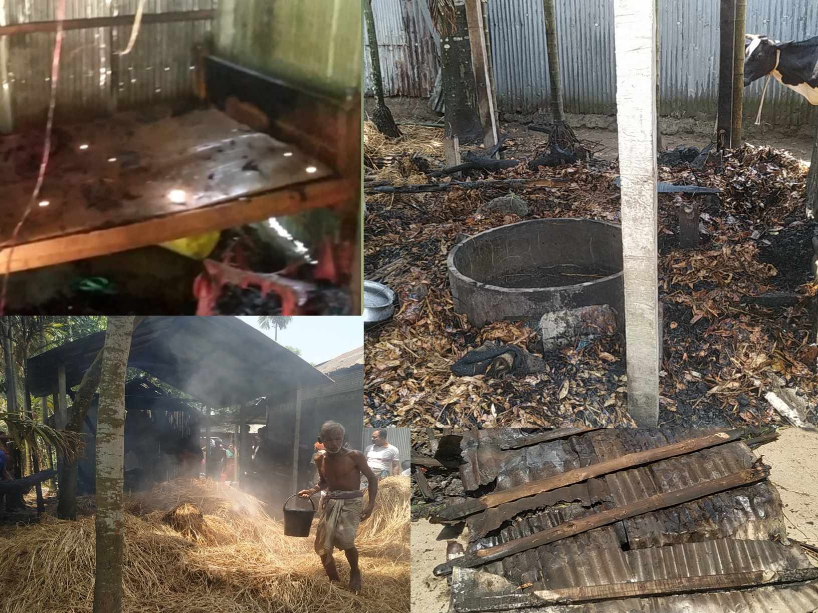 ঠাকুরগাঁও গড়েয়ায় বসত ঘর আগুনে পুড়ে ছাই