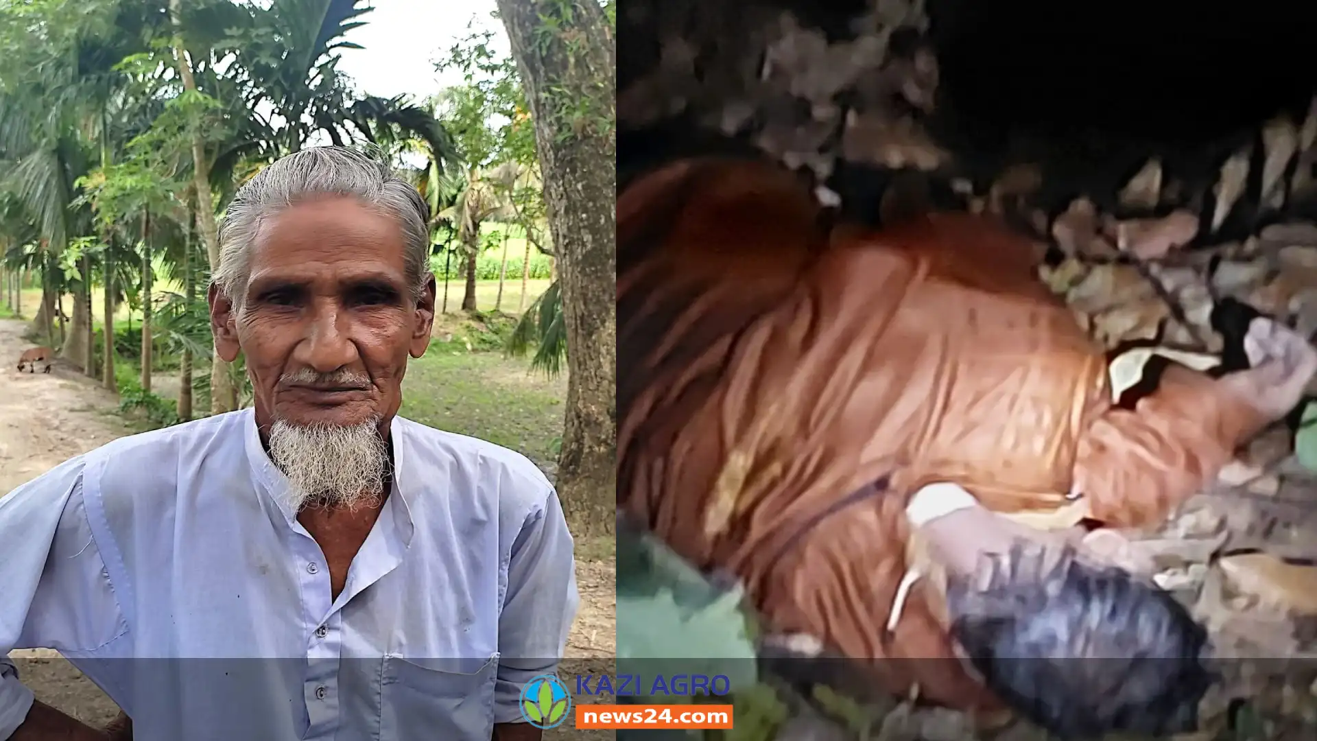 ডোবায় মিলল বীর মুক্তিযোদ্ধার লাশ