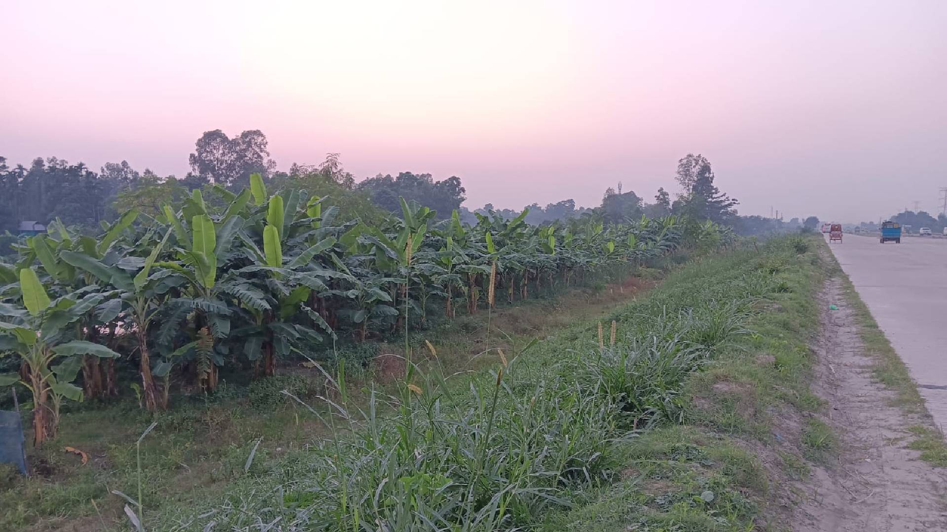 ঢাকা-টাঙ্গাইল মহাসড়কে ফের সক্রিয় হয়ে উঠেছে মাদক চক্র।