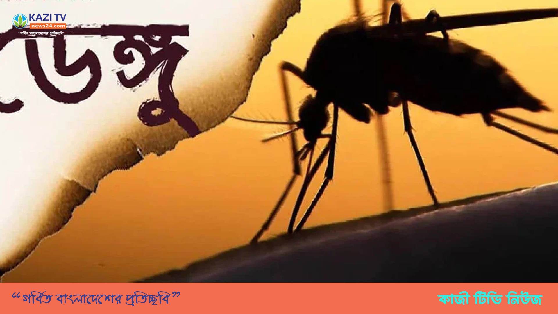 দেশে গত এক দিনে ডেঙ্গু জ্বরে আক্রান্ত হয়ে আরও সাতজনের মৃত্যু হয়েছে