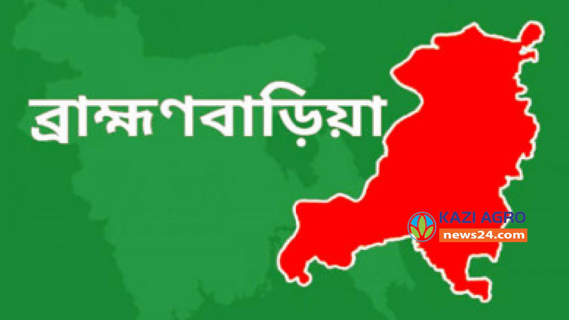 নবীনগরে বিষধর সাপের কামড়ে মৃত্যু।
