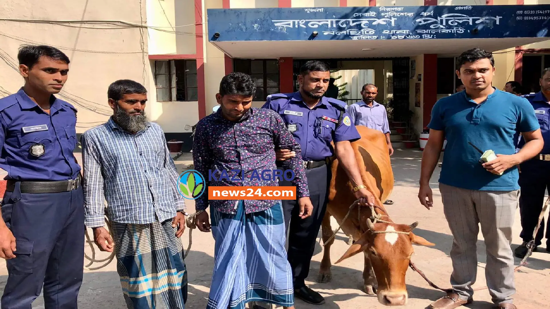নলছিটিতে চোরাই গরুসহ আটক-২