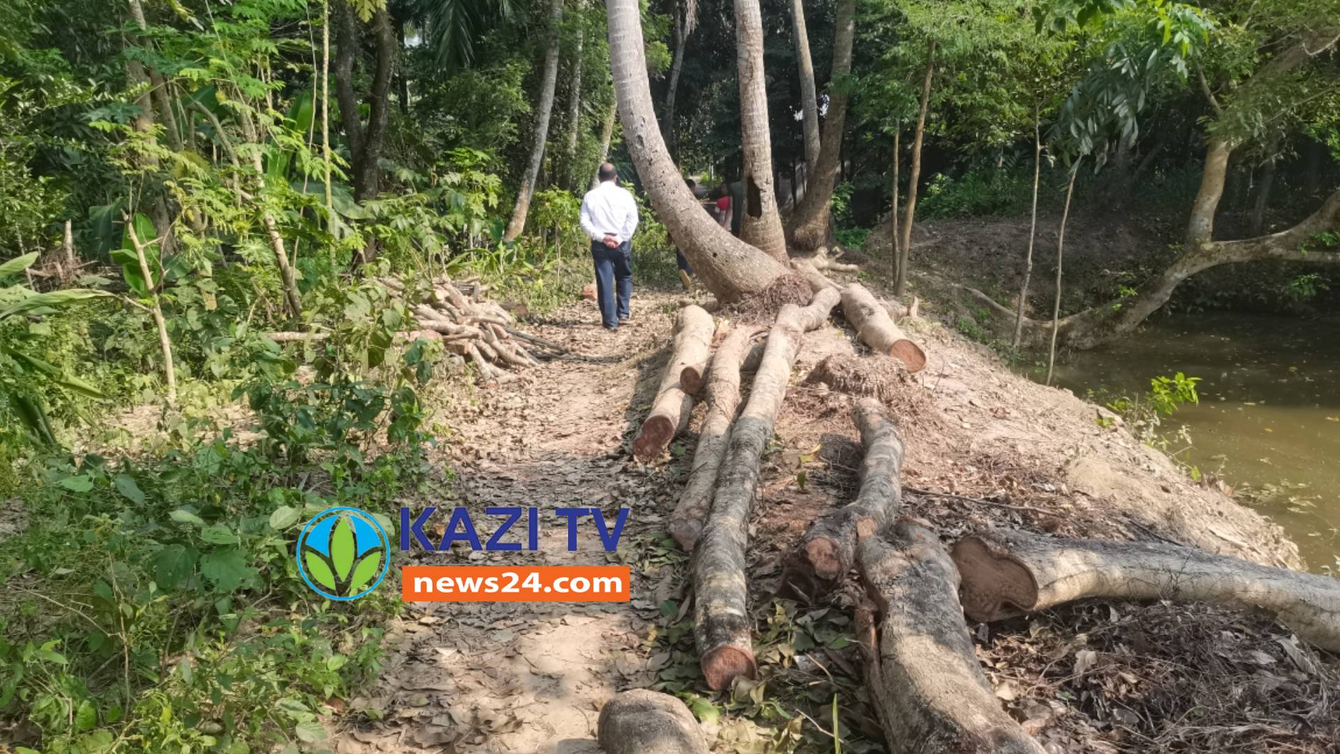 নাটোরের বড়াইগ্রামের হারোয়া এলাকায় অর্ধলক্ষ টাকার গাছ কেটে নেওয়ার অভিযোগ