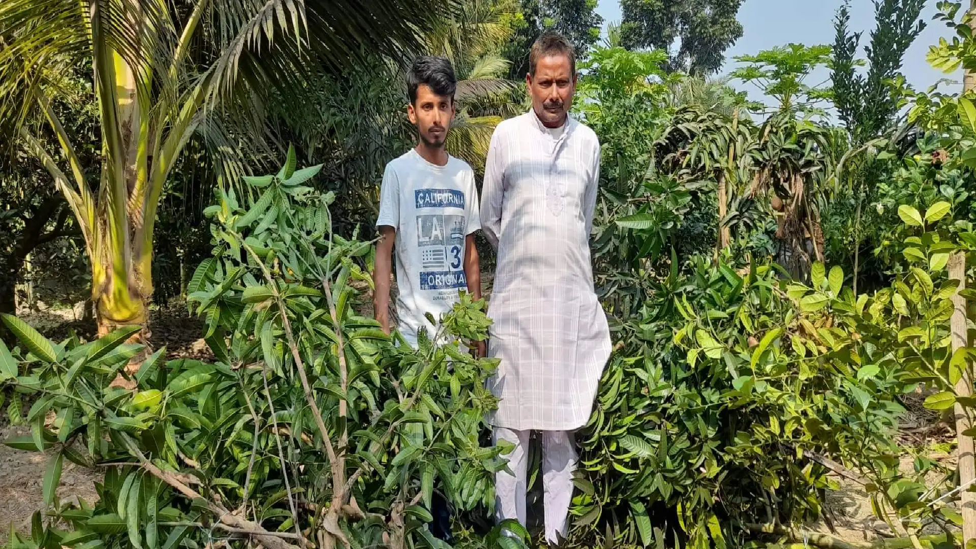 নাটোরের লালপুরে আওয়ামীলীগ নেতার ৫ শতাধিক গাছ কেটে দিয়েছে দুর্বৃত্তরা