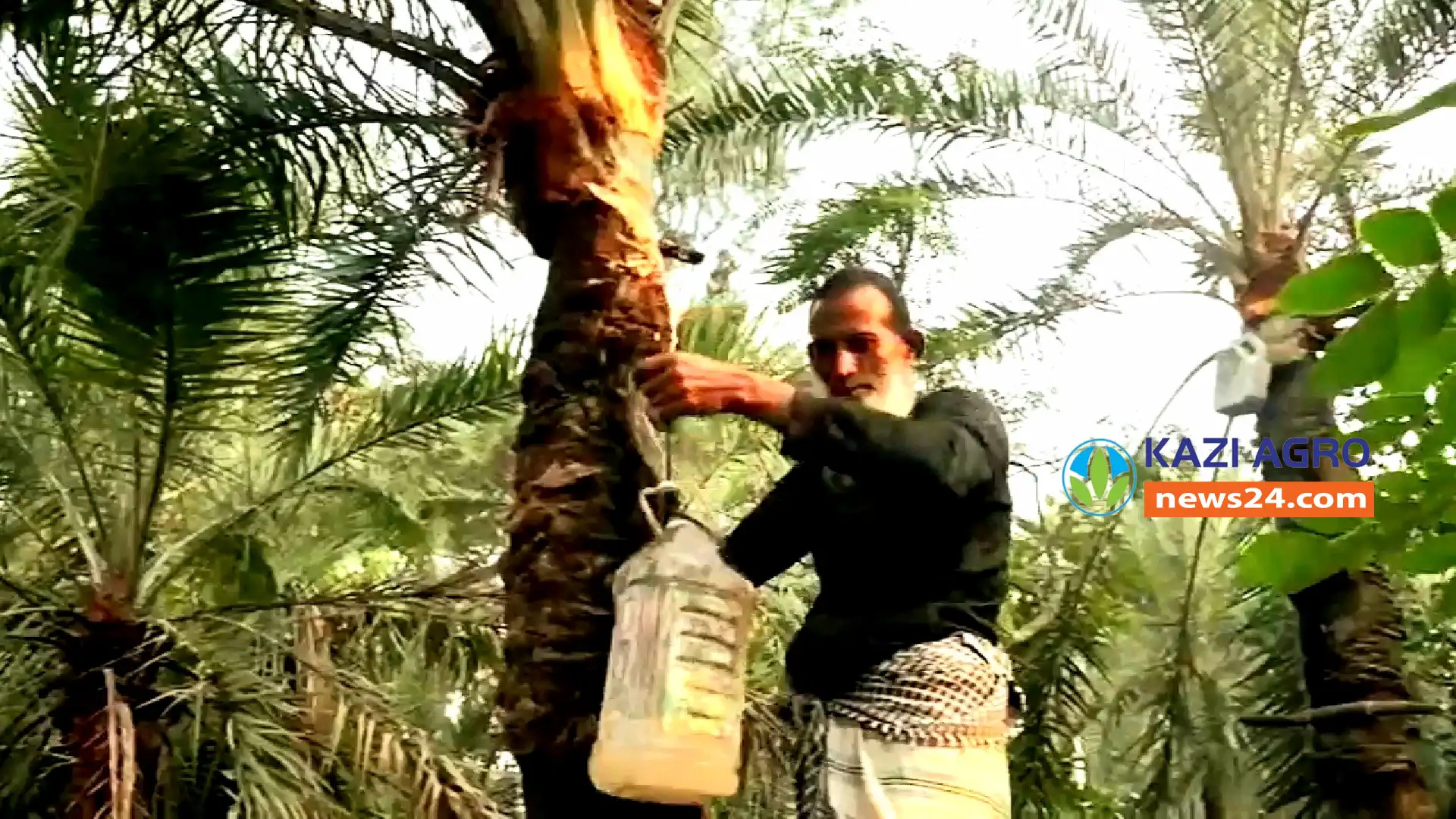 নোয়াখালীতে খেজুর রস থেকে গুড় উৎপাদনের উজ্জ্বল সম্ভবনা