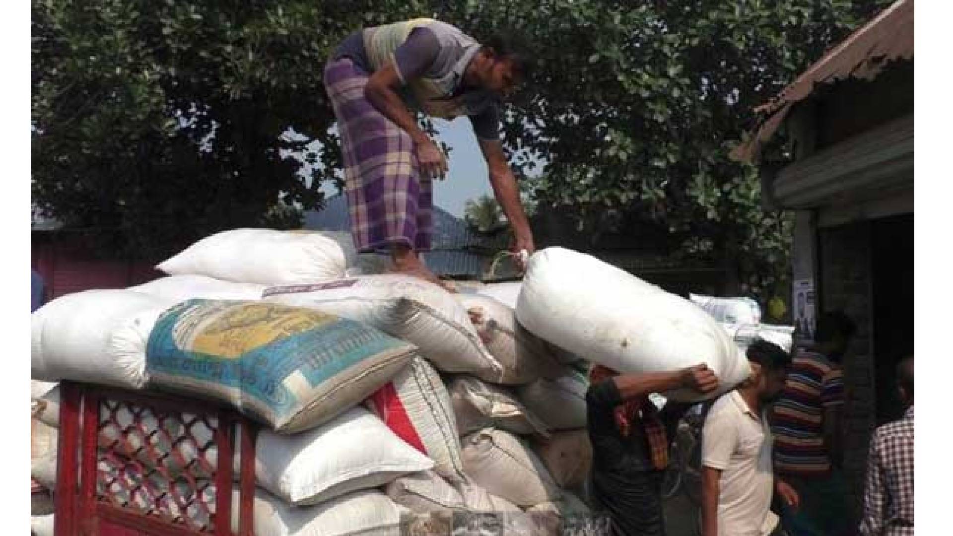 নড়াইলে বোরো ধানের দাম কম  লোকসানে চাষি