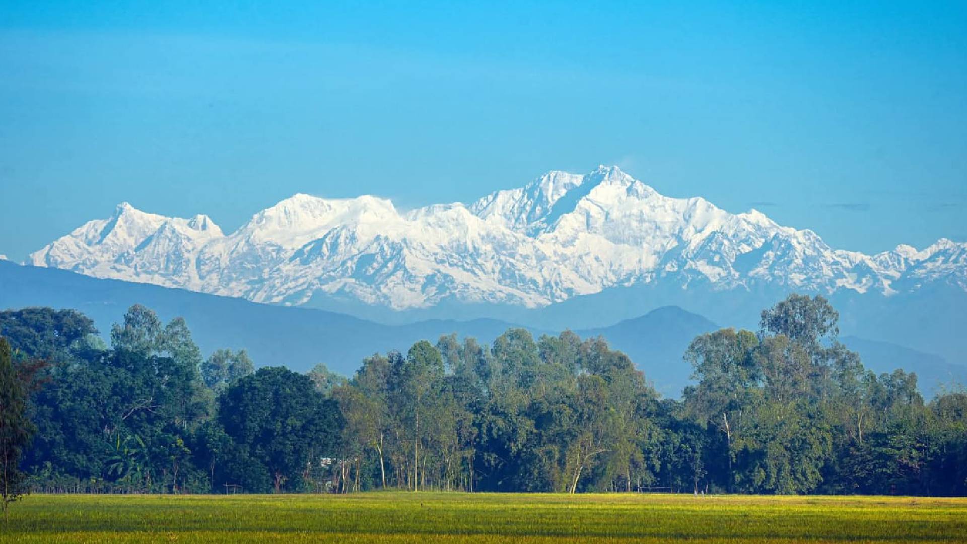 পঞ্চগড়ের তাপমাত্রা নামল ১২ ডিগ্রিতে