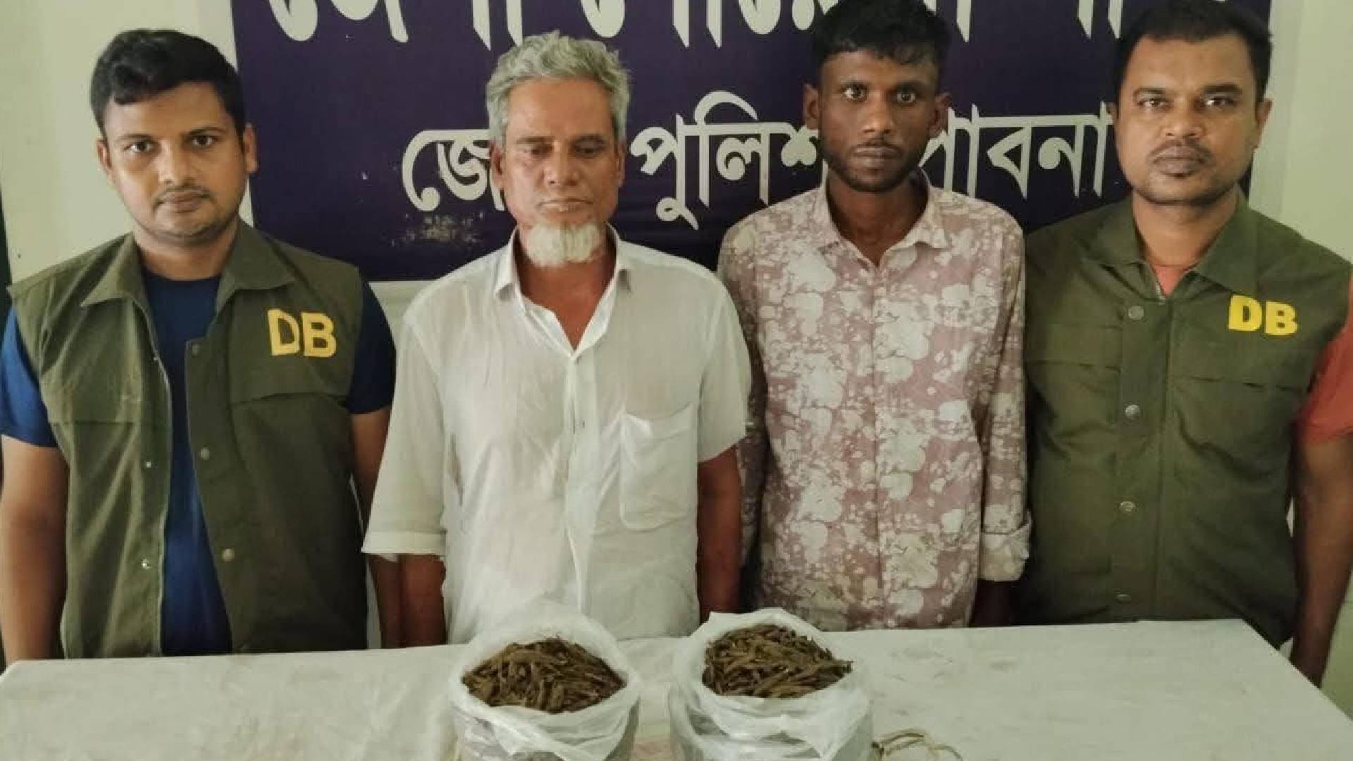 পাবনায় ডিবি পুলিশের অভিযানে গাঁজাসহ দুই মাদক ব্যবসায়ী গ্রেফতার