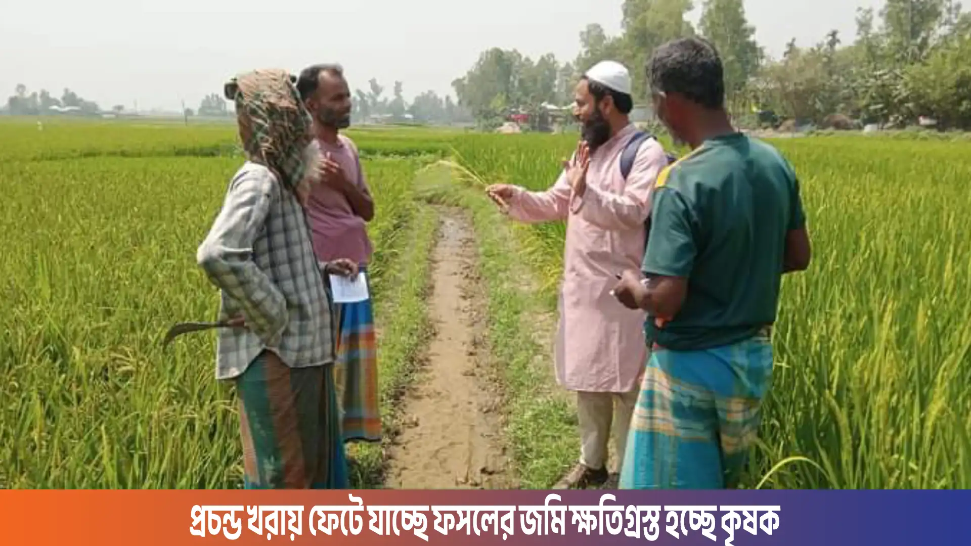 প্রচন্ড খরায় ফেটে যাচ্ছে ফসলের জমি ক্ষতিগ্রস্ত হচ্ছে কৃষক