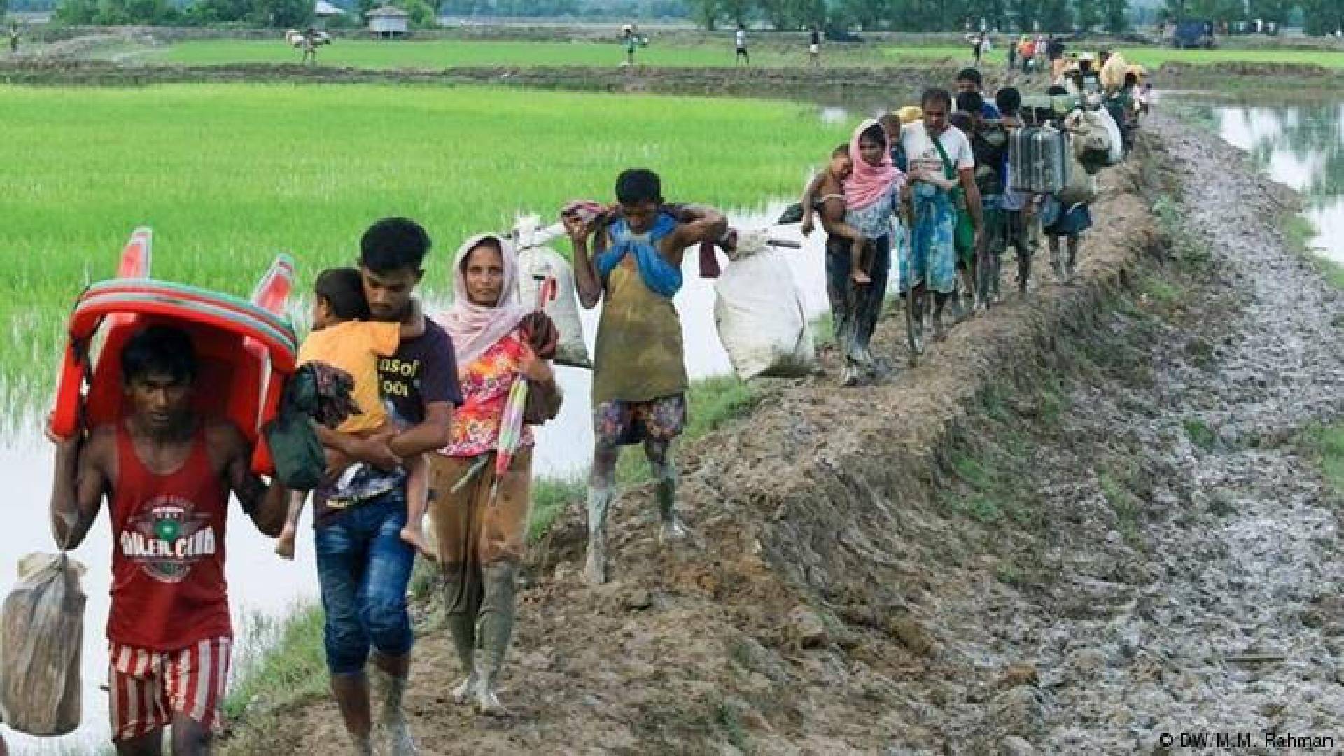 ফের কক্সবাজারে অনুপ্রবেশ করলো ৫ হাজার রোহিঙ্গা