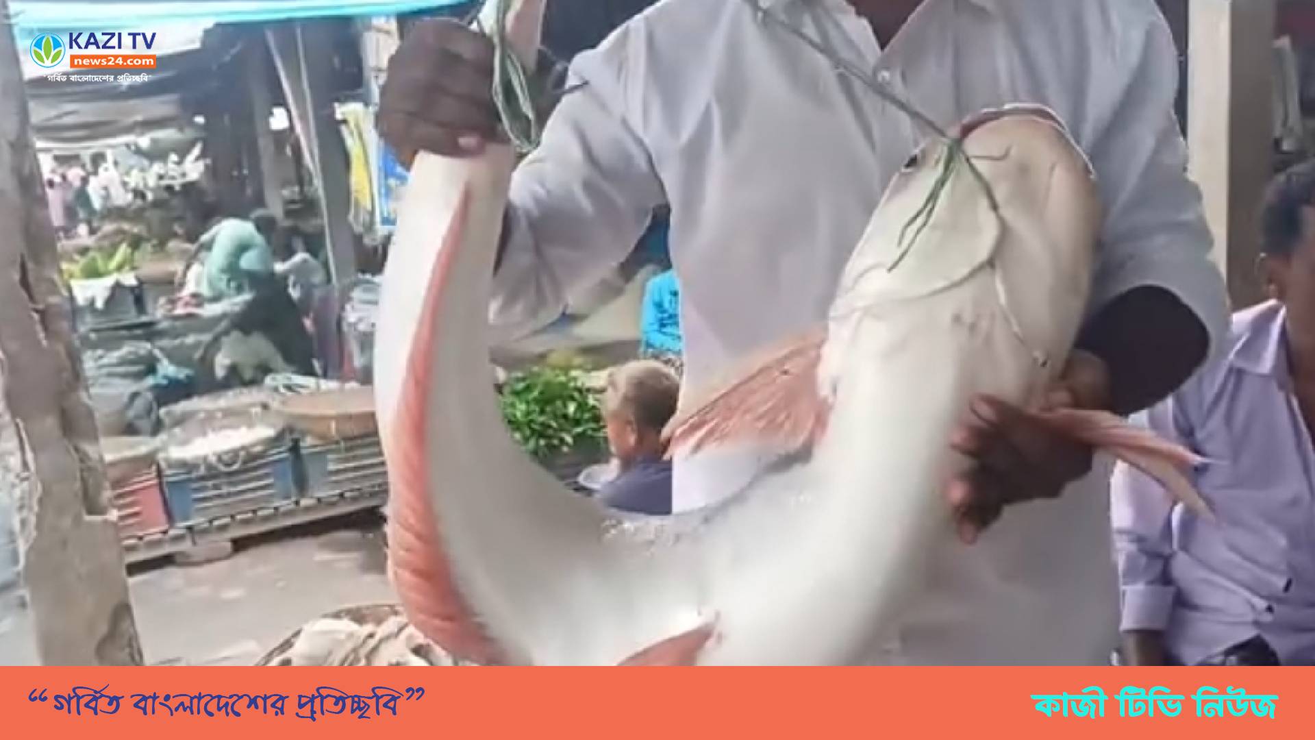 ভাইরাল সেই পাঙ্গাশ মাছ কোন পুলিশ নয় কিনেছেন এক জেলে!