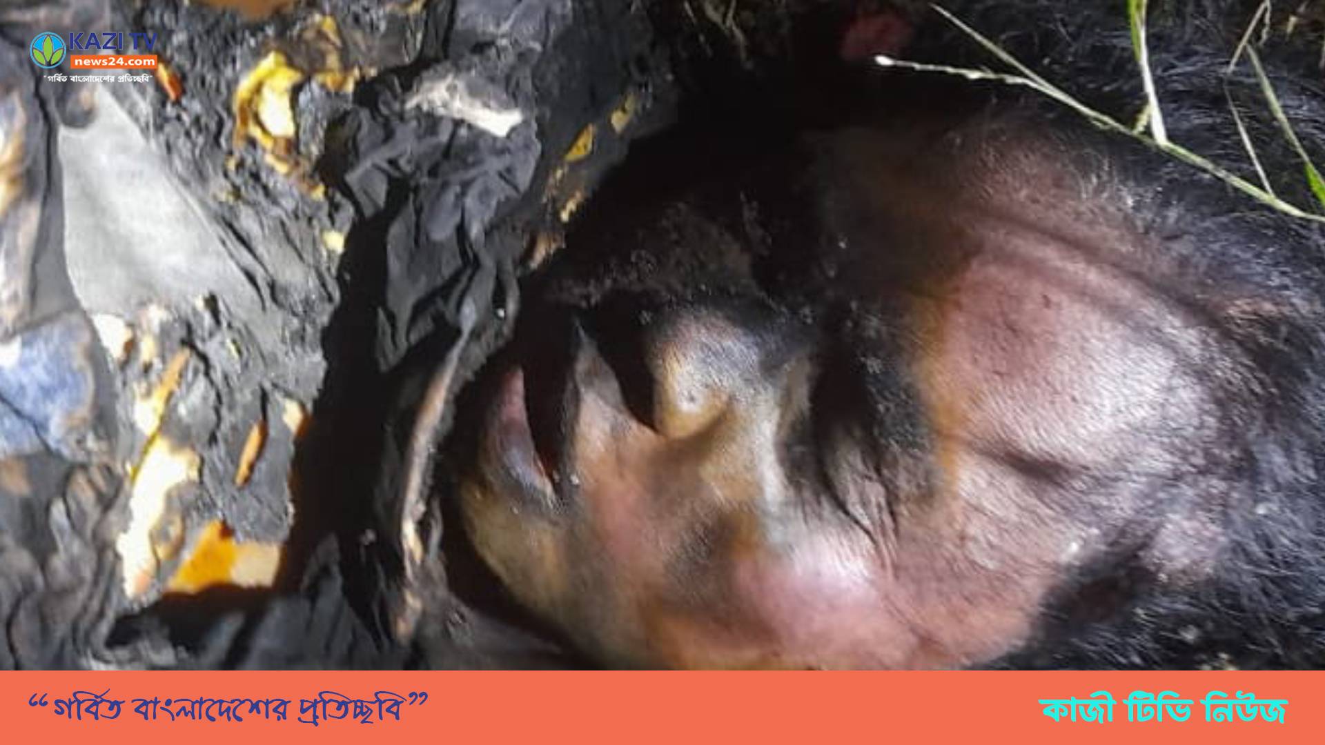 মতলব উত্তরে পানি নিষ্কাশনের ড্রেনে পড়ে ছিল আগুনে পোড়া অজ্ঞাত নারীর লাশ