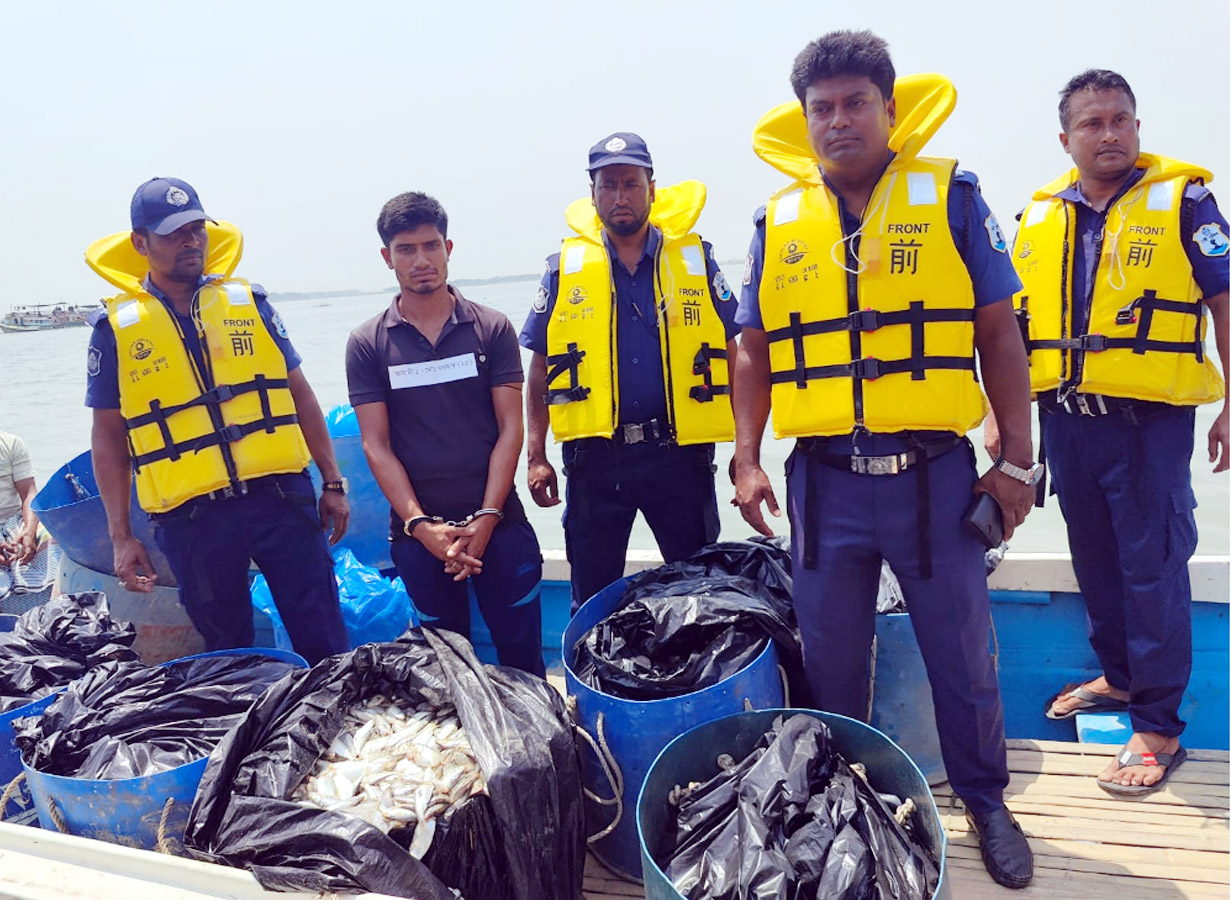 মতলব উত্তরে মেঘনা নদীতে ৬’শ কেজি পোণা ইলিশ’সহ গ্রেপ্তার ১