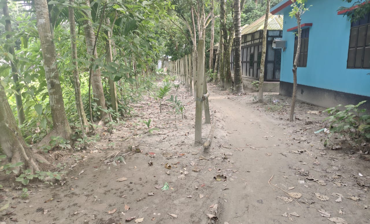 মতলব উত্তরে সরকারি রাস্তা পূর্ণনির্মাণে বাধা,ভোগান্তিতে এলাকাবাসী স্থানীয় প্রভাবশালীদের হুমকি-ধামকিতে স্থবির উন্নয়ন কাজ