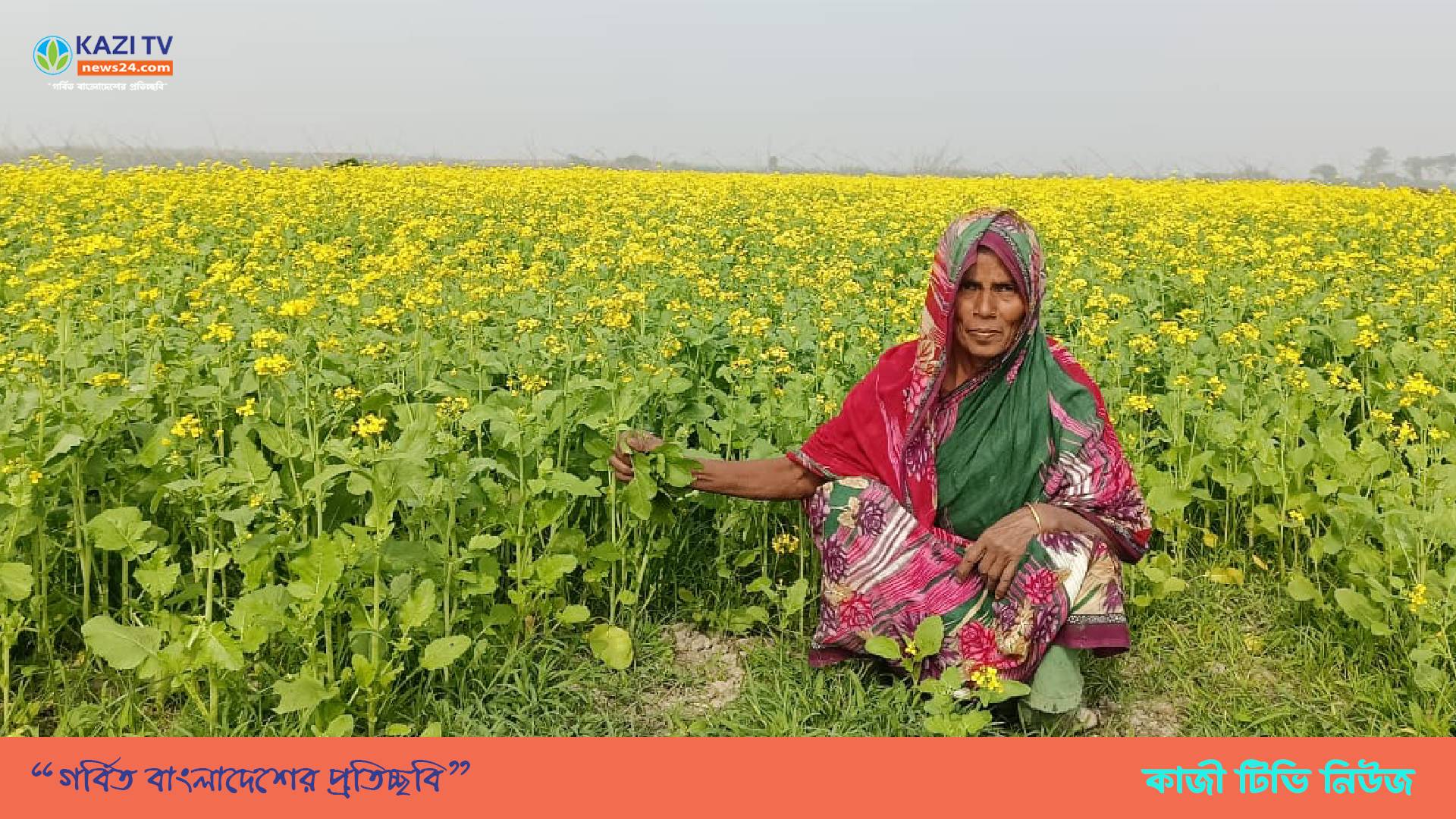 মতলব উত্তরে সরিষা ফুলে দুলছে কৃষকের রঙিন স্বপ্ন।