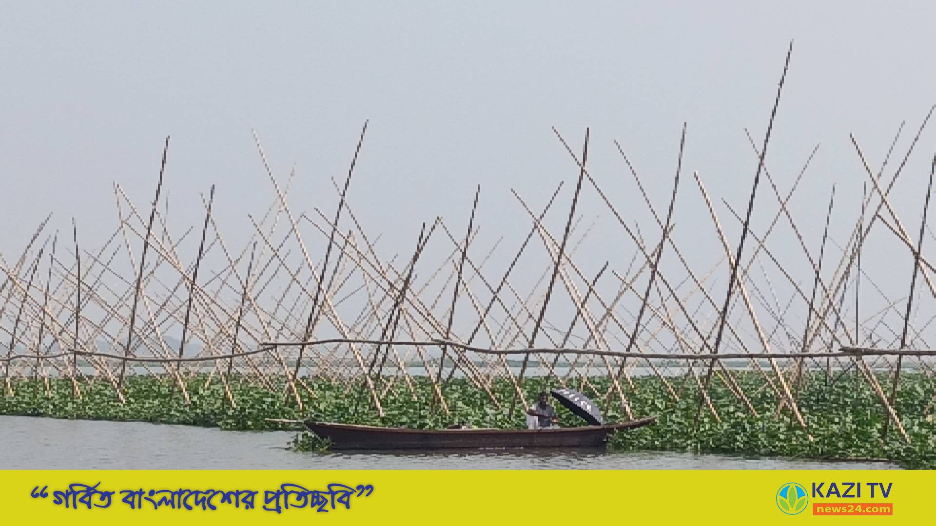 মতলবের ধনাগোদা নদীর ২০ কিলোমিটার জুড়ে ৬ শতাধিক অবৈধ ফাঁদ।