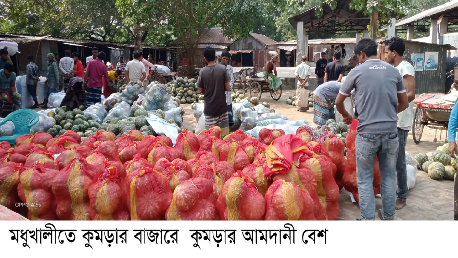 মধুখালীতে কুমড়ার বাম্পার ফলন