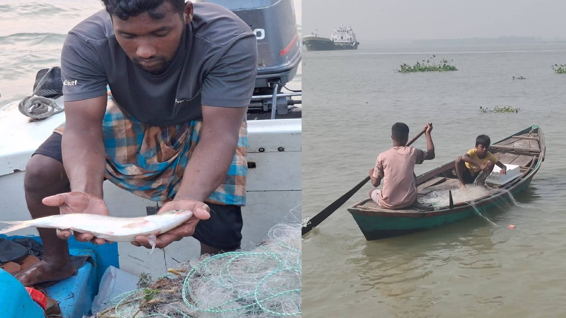 মেঘনায় নিষেধাজ্ঞা অমান্য করে চলছে ইলিশ শিকার: প্রশাসনের নজরদারিতে শৈথিল্য।