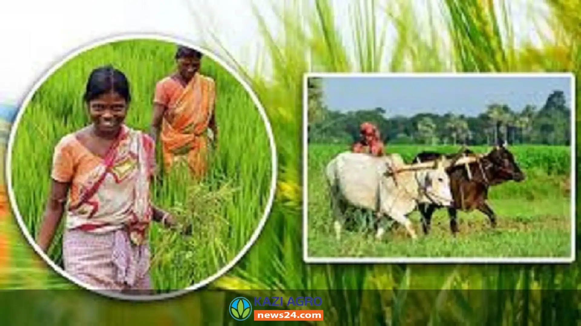 রাজশাহীতে কৃষি পুনর্বাসন কর্মসূচির আওতায় ৩ কোটি টাকার সার ও বীজ সহায়তা