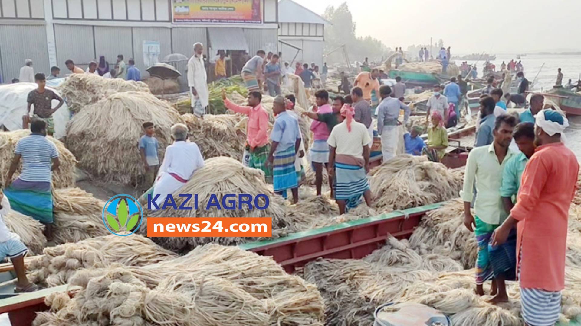 শিবচরে পাটের কম দামে হতাশ কৃষকরা