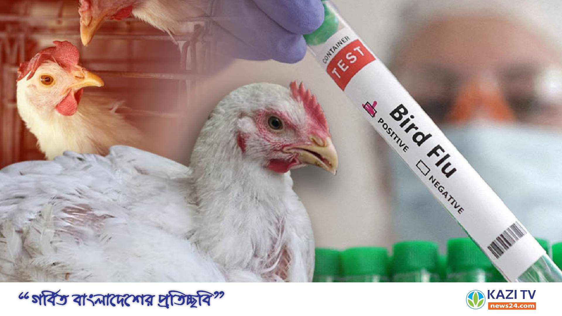 শিশুর শরীরে ‘বার্ড ফ্লু’ শনাক্তঃযুক্তরাষ্ট্রে