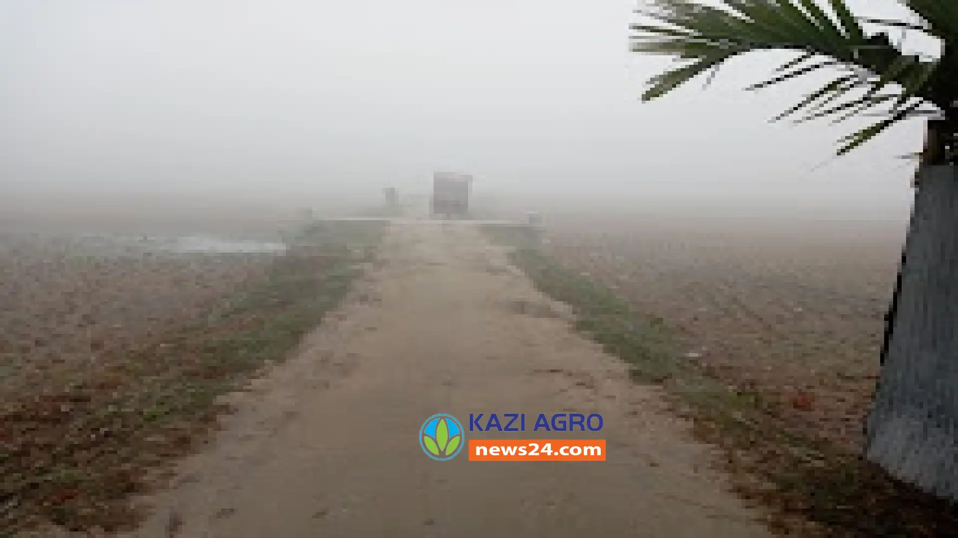 শীত সূচের মত বিধছে গায়