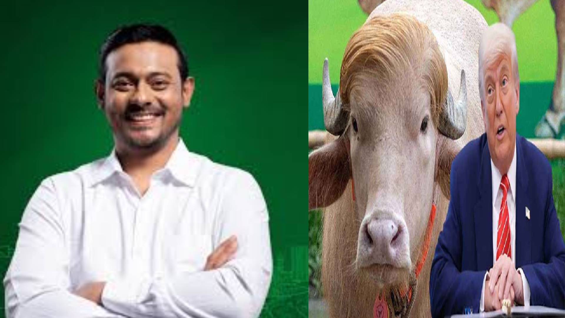 সরকারকে খোঁচা দিয়ে ‘ডোনাল্ড ট্রাম্প’ মহিষ প্রসঙ্গে পাটওয়ারী