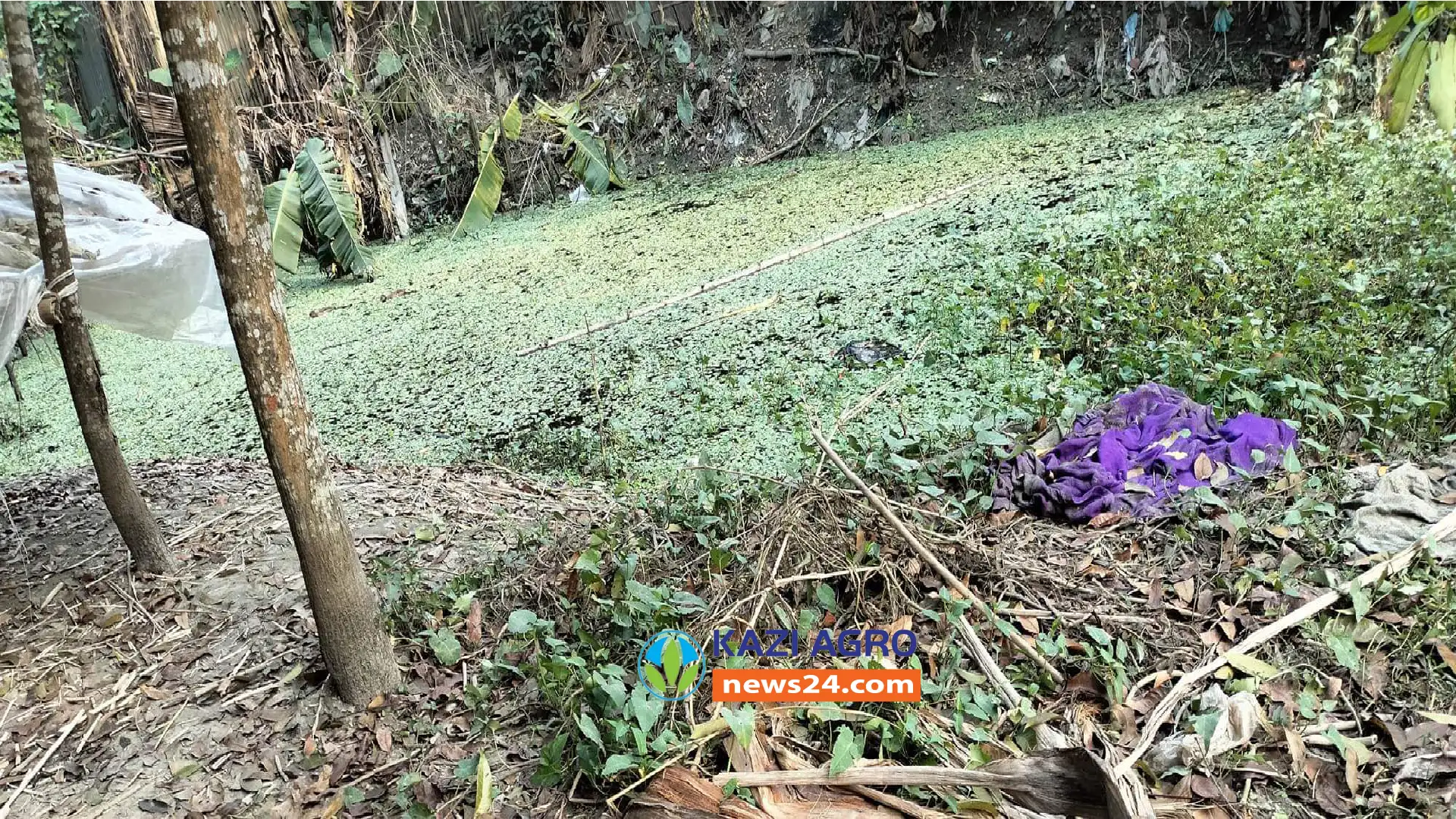 সালথায় পানিতে ডুবে শিশুর মৃত্যু