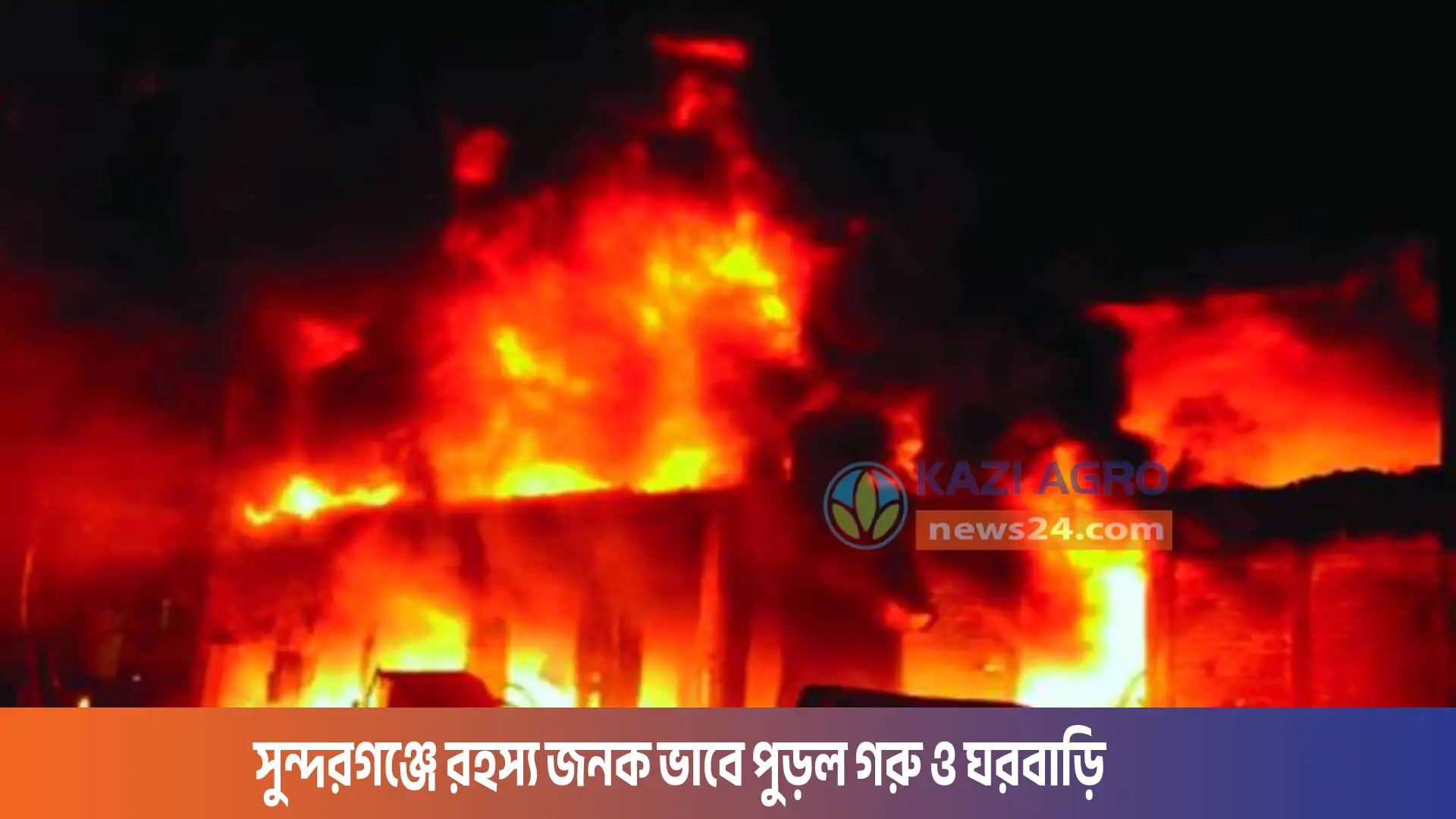 সুন্দরগঞ্জে রহস্য জনক ভাবে পুড়ল গরু ও ঘরবাড়ি।