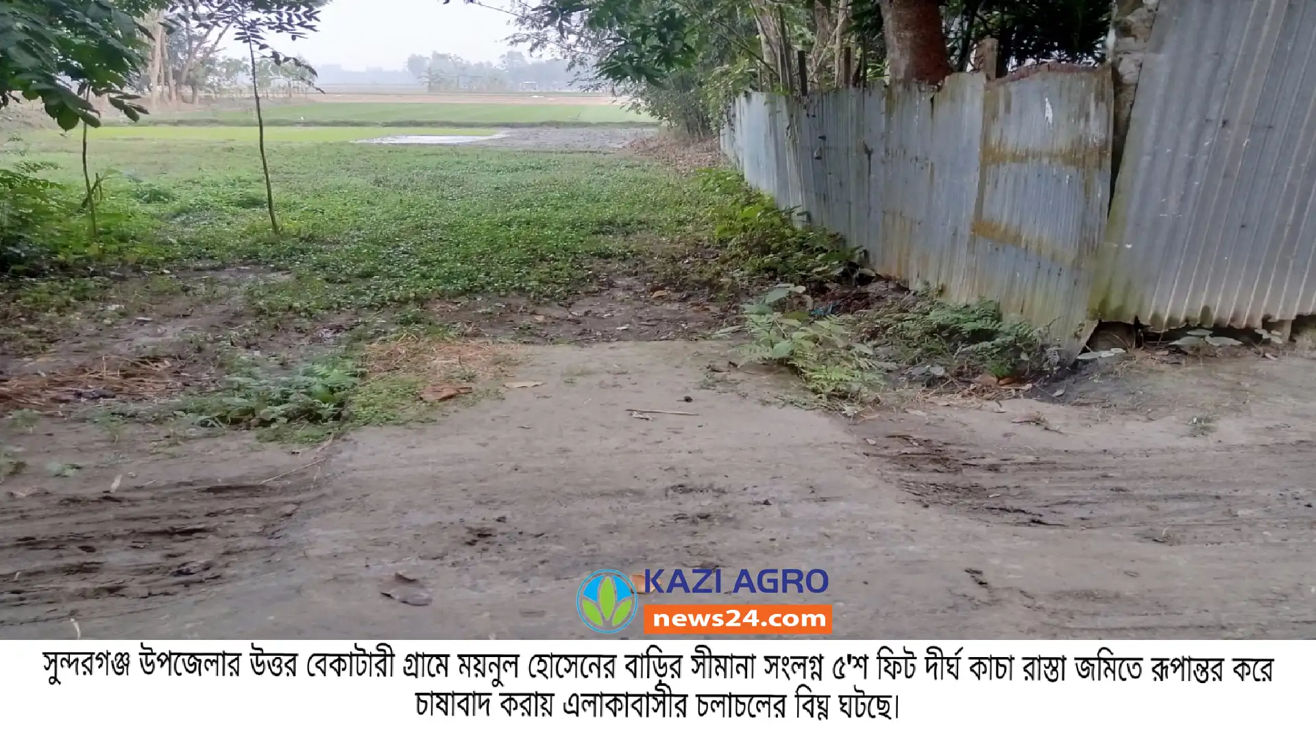 সুন্দরগঞ্জে রেকর্ডভূক্ত রাস্তা দখল করে চাষাবাদ