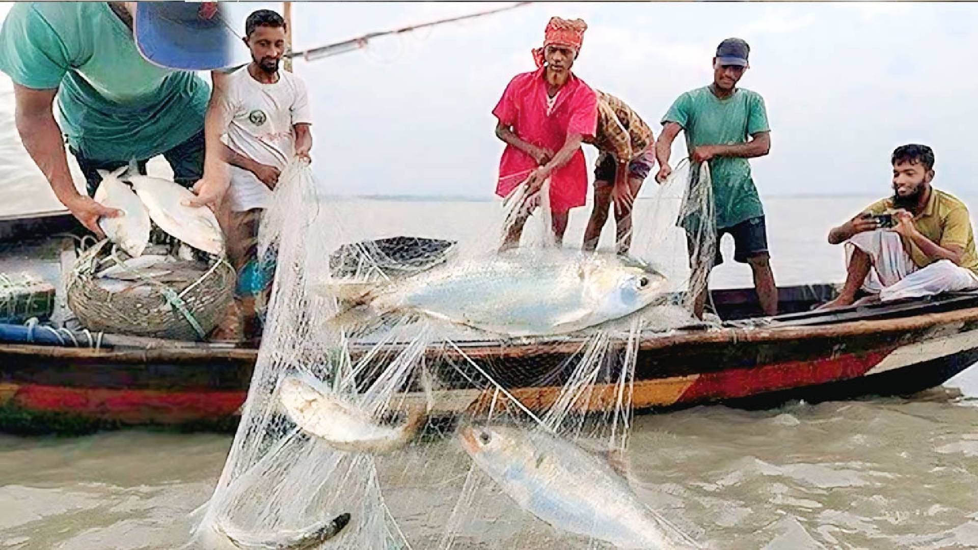 ২২ দিনের নিষেধাজ্ঞা শেষ হচ্ছে আজ, মধ্য রাত থেকে ইলিশ ধরা শুরু