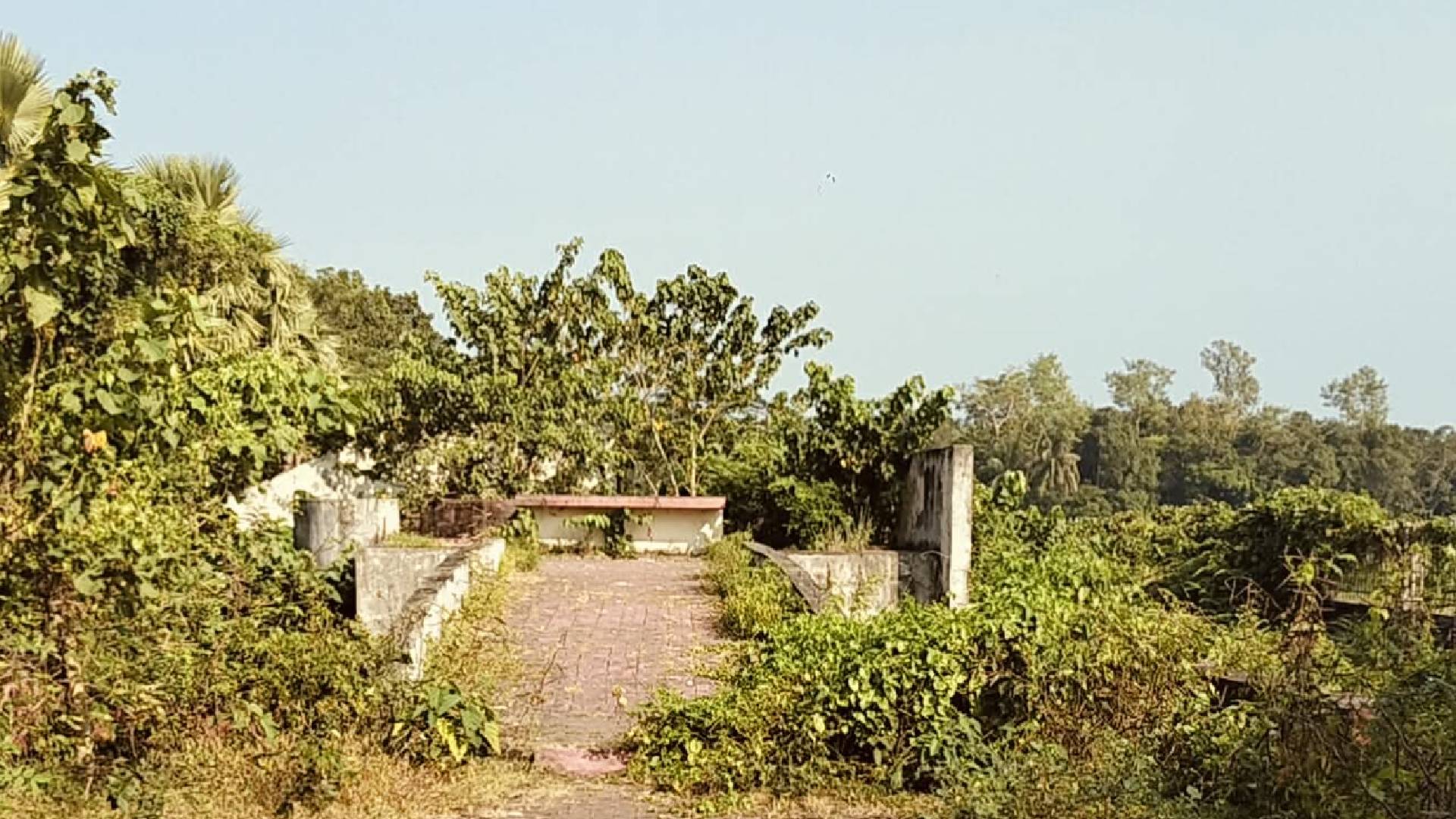 ‎রক্ষণাবেক্ষণের অভাবে ঝোপ-জঙ্গলে ভরে গেছে মুক্তিযুদ্ধ স্মৃতিস্তম্ভ